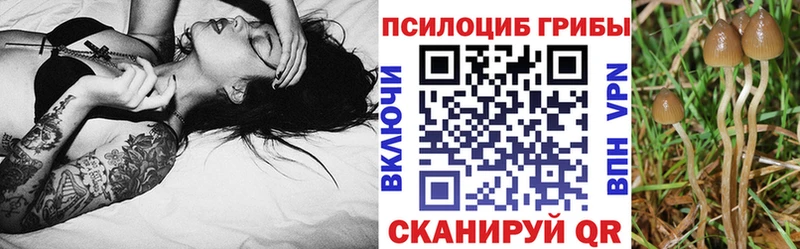 что такое   Вольск  Галлюциногенные грибы GOLDEN TEACHER 