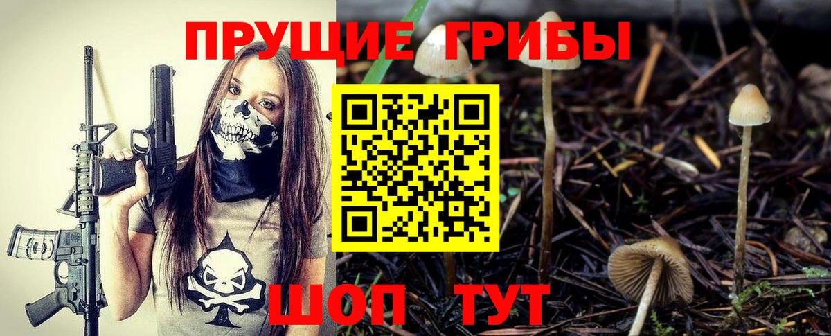 A-PVP Вольск