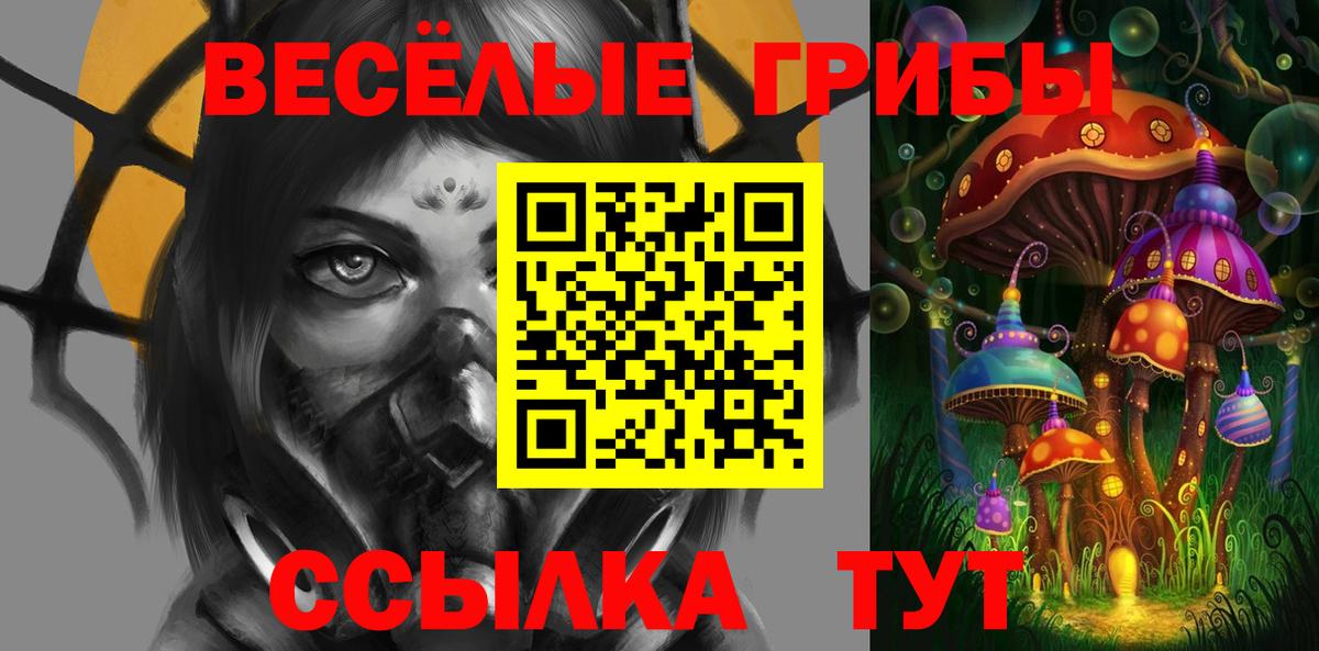 Вольск  Галлюциногенные грибы MAGIC MUSHROOMS  Вход с VPN 